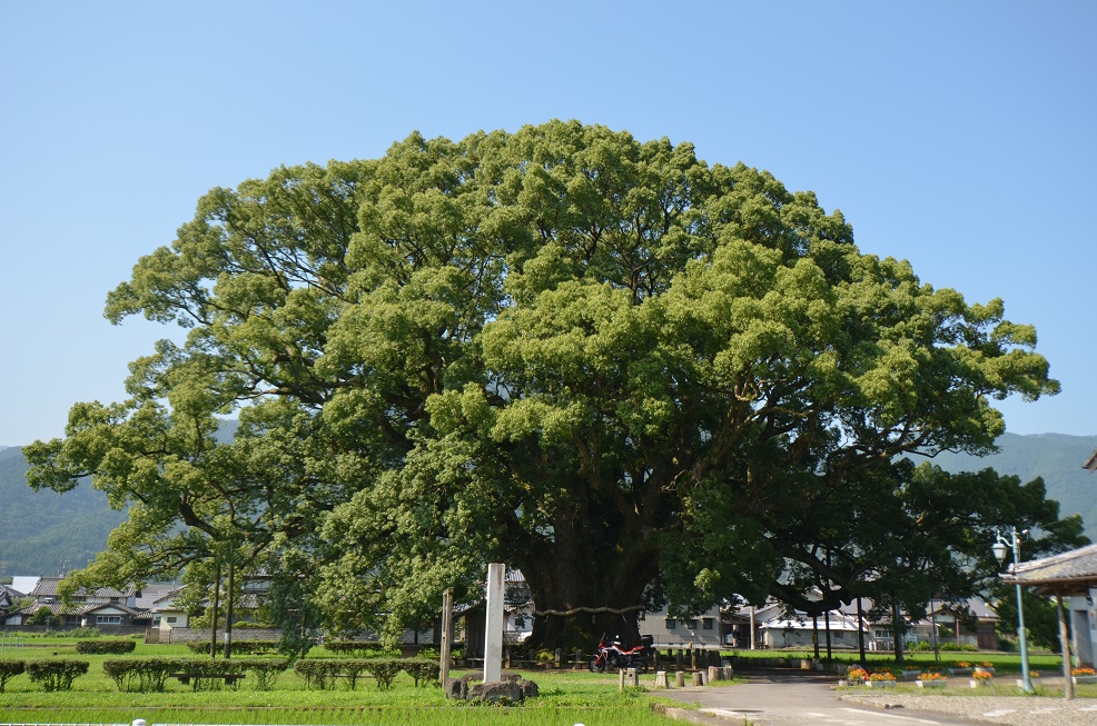 6輪2足生物の冒険