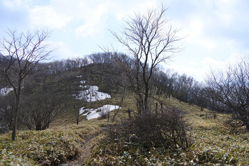 赤城山山頂稜線の画像