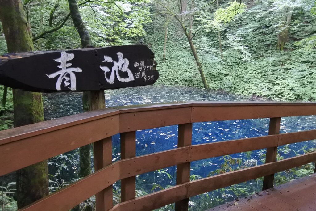 白神山地　青池　（青森県）